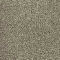 Ковролин Radici Montecarlo 91 фото 1 | FLOORDEALER