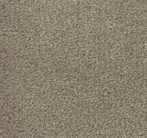 Ковролин Radici Montecarlo 91 фото 1 | FLOORDEALER