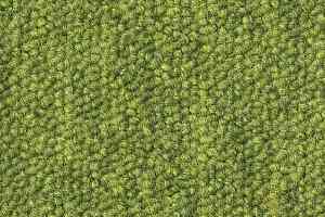 Ковровая плитка DESSO Airmaster Tierra 6408 фото  | FLOORDEALER