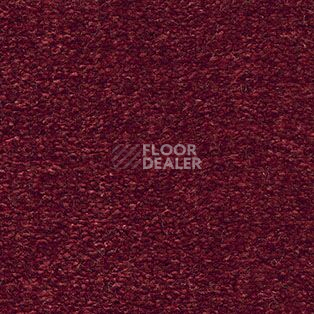 Ковролин AW The Velvet Oreade 11 фото 1 | FLOORDEALER