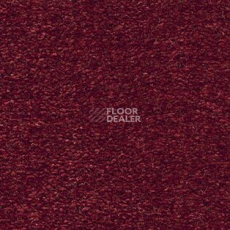 Ковролин AW The Velvet Oreade 11 фото 1 | FLOORDEALER