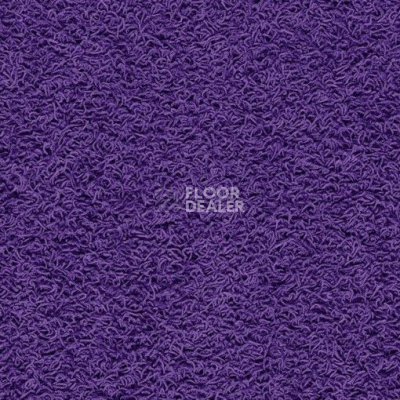 Ковролин Balta ITC Famoso 87 фото 1 | FLOORDEALER