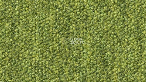 Ковровая плитка DESSO Airmaster Tierra 6408 фото 1 | FLOORDEALER