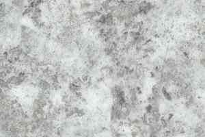 Линолеум Novoflor Standard 3100_6 фото  | FLOORDEALER