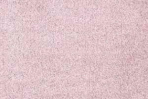 Ковролин AW The Velvet Ourania 16 фото  | FLOORDEALER