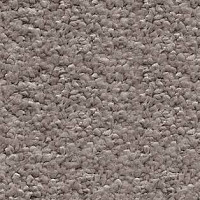 Ковролин AW Invictus Orion 40 фото 1 | FLOORDEALER