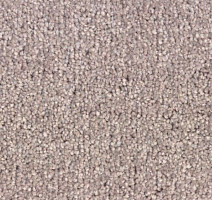 Ковролин Зартекс Карнавал Карнавал 011 фото 1 | FLOORDEALER