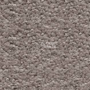 Ковролин AW Invictus Orion 40 фото 1 | FLOORDEALER