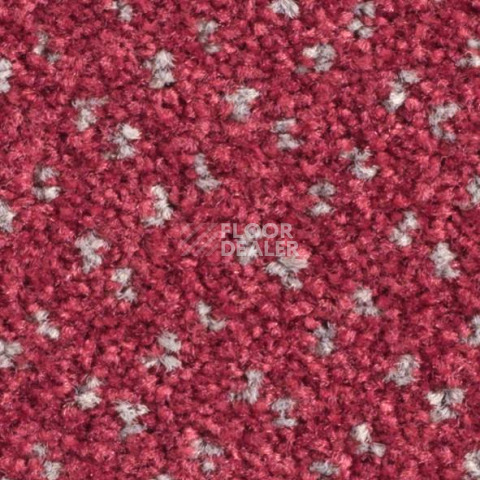 Ковролин Balsan Capitol Capitol 540 фото 1 | FLOORDEALER