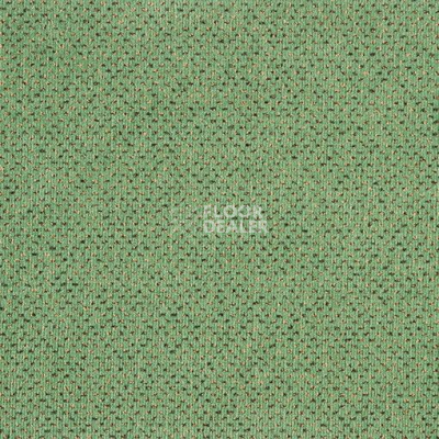 Ковролин Balta ITC Apollo 24 фото 1 | FLOORDEALER