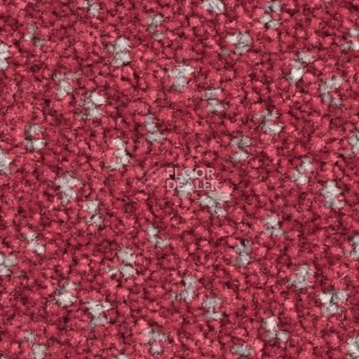 Ковролин Balsan Capitol Capitol 540 фото 1 | FLOORDEALER