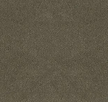 Ковролин Desso Asteranne 2941 фото 1 | FLOORDEALER