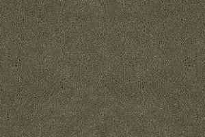 Ковролин Desso Asteranne 2941 фото  | FLOORDEALER