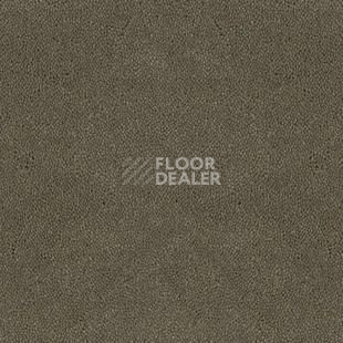 Ковролин Desso Asteranne 2941 фото 1 | FLOORDEALER