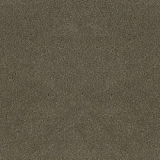 Ковролин Desso Asteranne 2941 фото 1 | FLOORDEALER