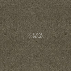 Ковролин Desso Asteranne 2941 фото 1 | FLOORDEALER