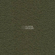 Ковролин Desso Marathon 7942 фото 1 | FLOORDEALER