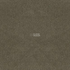 Desso Asteranne 2941 фото 1 | FLOORDEALER
