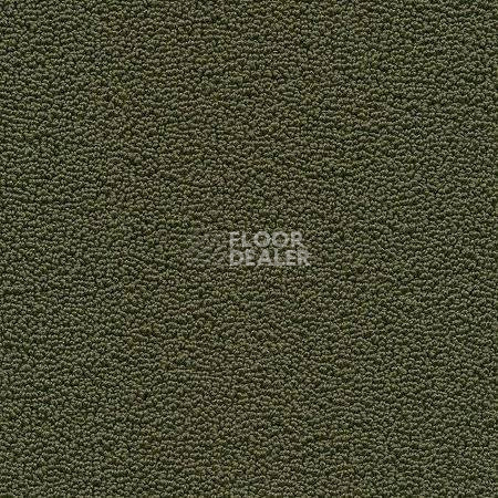 Ковролин Desso Marathon 7942 фото 1 | FLOORDEALER