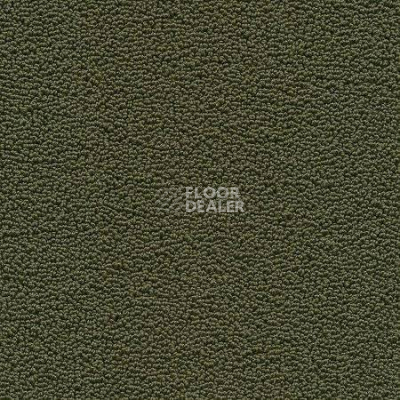 Ковролин Desso Marathon 7942 фото 1 | FLOORDEALER