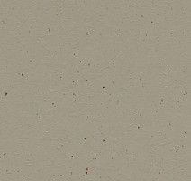 Линолеум Forbo Marmoleum Decibel on Order 359635 hummus фото 1 | FLOORDEALER