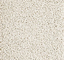 Ковровая плитка Interface Human Nature 830 608008 Bone фото 1 | FLOORDEALER