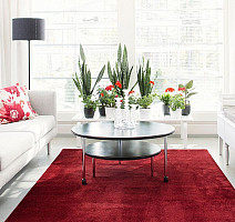 Satine 101 Wine Red фото 2 | FLOORDEALER