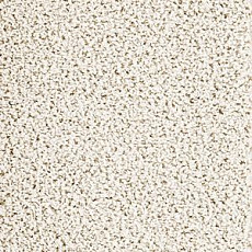 Ковровая плитка Interface Human Nature 830 608008 Bone фото 1 | FLOORDEALER