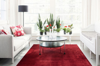 Satine 101 Wine Red фото 2 | FLOORDEALER