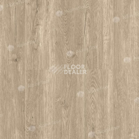 Кварцвиниловые полы Alpine Floor Sequoia (SPC) Секвойя Коньячная ЕСО 6-2 SPC фото 1 | FLOORDEALER