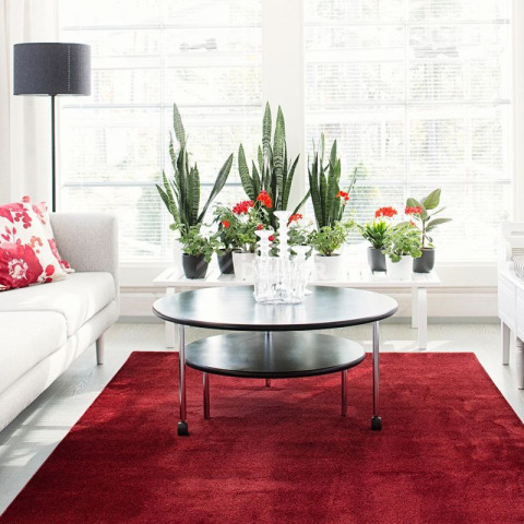 VM Carpet Satine 101 Wine Red фото 2 | FLOORDEALER