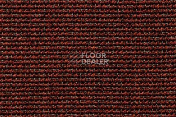 Ковролин Carpet Concept Eco Iqu 10064 фото 1 | FLOORDEALER