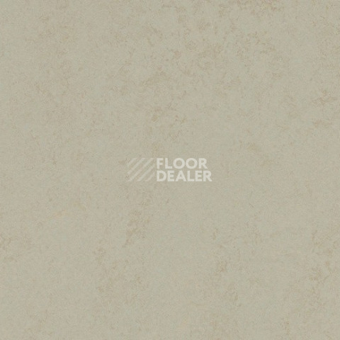 Линолеум Forbo Marmoleum Decibel 376035 dust фото 1 | FLOORDEALER