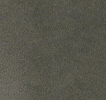 Ковролин Desso Asteranne 9501 фото 1 | FLOORDEALER