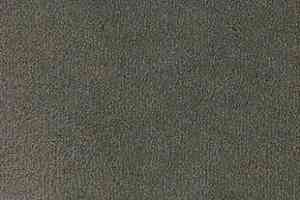 Ковролин Desso Asteranne 9501 фото  | FLOORDEALER