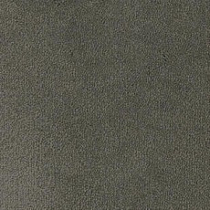 Ковролин Desso Asteranne 9501 фото 1 | FLOORDEALER