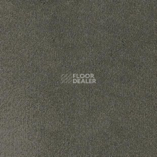Ковролин Desso Asteranne 9501 фото 1 | FLOORDEALER