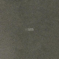 Desso Asteranne 9501 фото 1 | FLOORDEALER