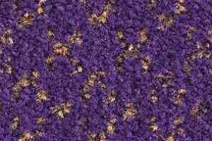 Ковролин Balsan Lounge Lounge 880 фото  | FLOORDEALER