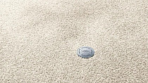 Ковролин Vorwerk Superior 1064/Lyrica Vorwerk 6c69 фото 1 | FLOORDEALER