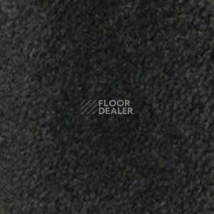 Ковролин Infloor Cliff 565 фото 1 | FLOORDEALER