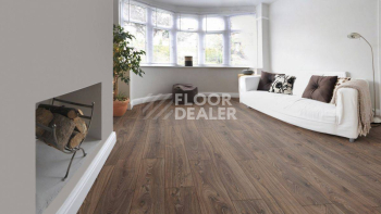 Kronotex Robusto 12мм d3590 Дуб Таймлесс фото 6 | FLOORDEALER