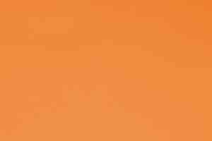 Линолеум Forbo Sportline Classic Fr 00570 фото  | FLOORDEALER