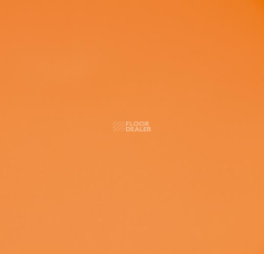 Forbo Sportline Classic Fr 00570 фото 1 | FLOORDEALER