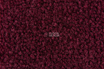 Balsan Les Best 590 фото 2 | FLOORDEALER