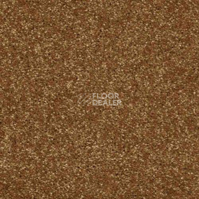 Ковролин AW Masquerade Gala 80 фото 1 | FLOORDEALER