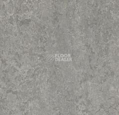 Линолеум Forbo Marmoleum Decibel 314635 serene grey фото 1 | FLOORDEALER