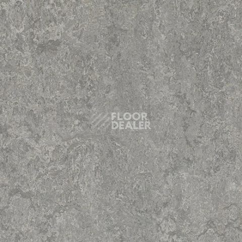 Линолеум Forbo Marmoleum Decibel 314635 serene grey фото 1 | FLOORDEALER
