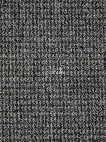 Ковролин Condor Dynamic 71 фото 1 | FLOORDEALER