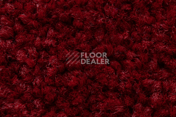 Balsan Serenite 570 фото 4 | FLOORDEALER